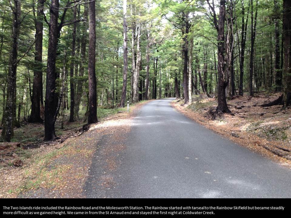 07.jpg (156810 bytes)